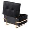 Fabulaxe 20 W, 14 H, Velvet, Black QI003939.BK - alternate 5